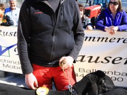 2019_ausstellung polling_320